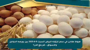 هبوط مفاجئ في سعر كرتونة البيض السبت 9-8-2025 بين بورصة الدواجن والأسواق.. كم بلغ الآن؟